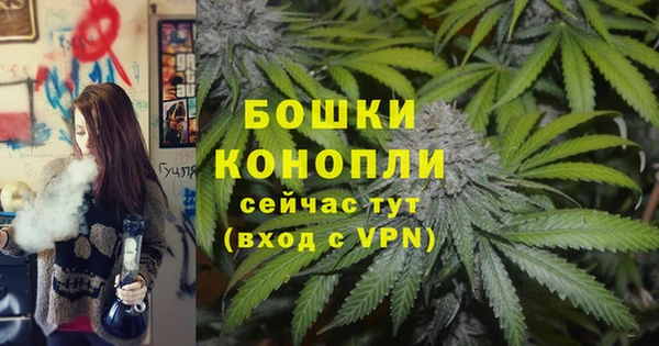 гидра Лагань