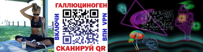 Псилоцибиновые грибы Cubensis  Купить закладки  Грозный 